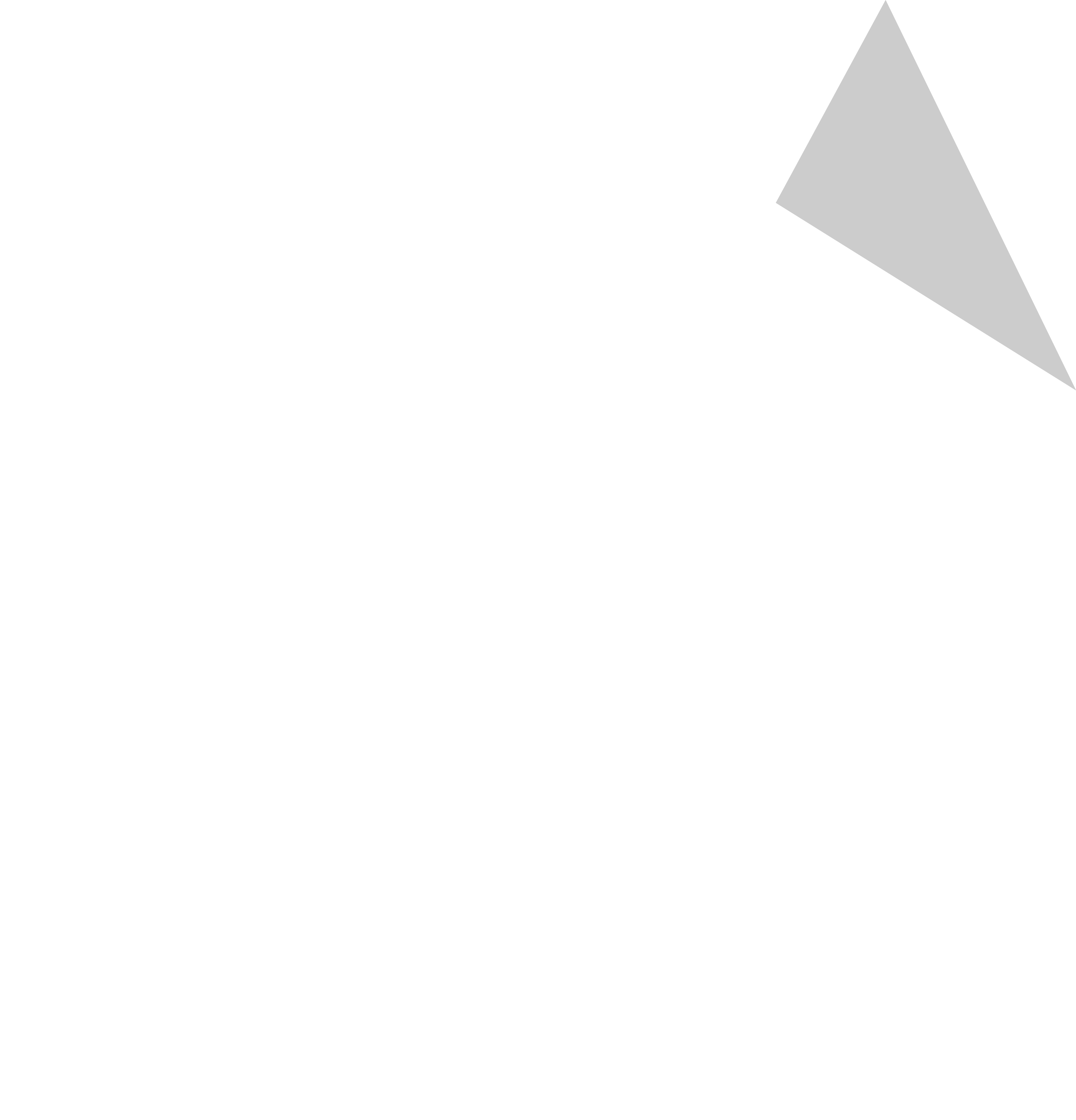 Brand South Australia Logo